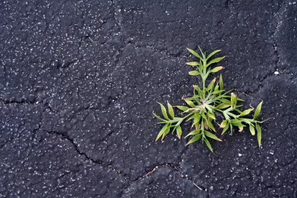Resilience